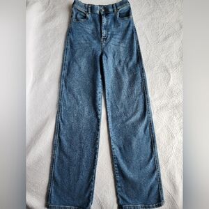 DR. DENIM Moxy Highrise Straight 27/28